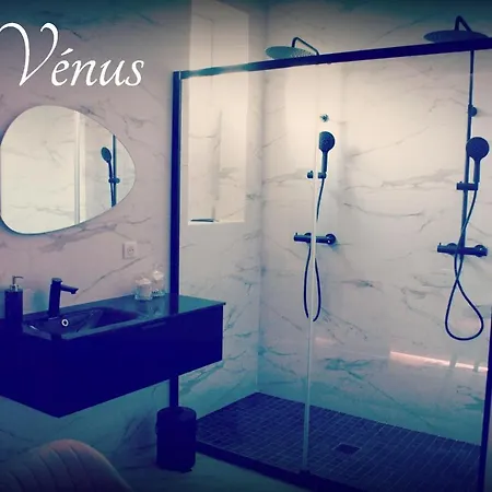 Le Venus - Appartement Spa Privatif Balneo Sauna Dijon Exterior photo
